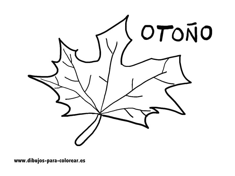 Dibujos para colorear - El otono Dibujos para colorear - El otono